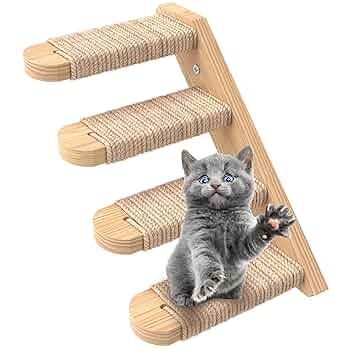 The Cat's Miaow Climb My Stairs レコード The Cat's Miaow Climb My Stairs レコード The Cat's Miaow